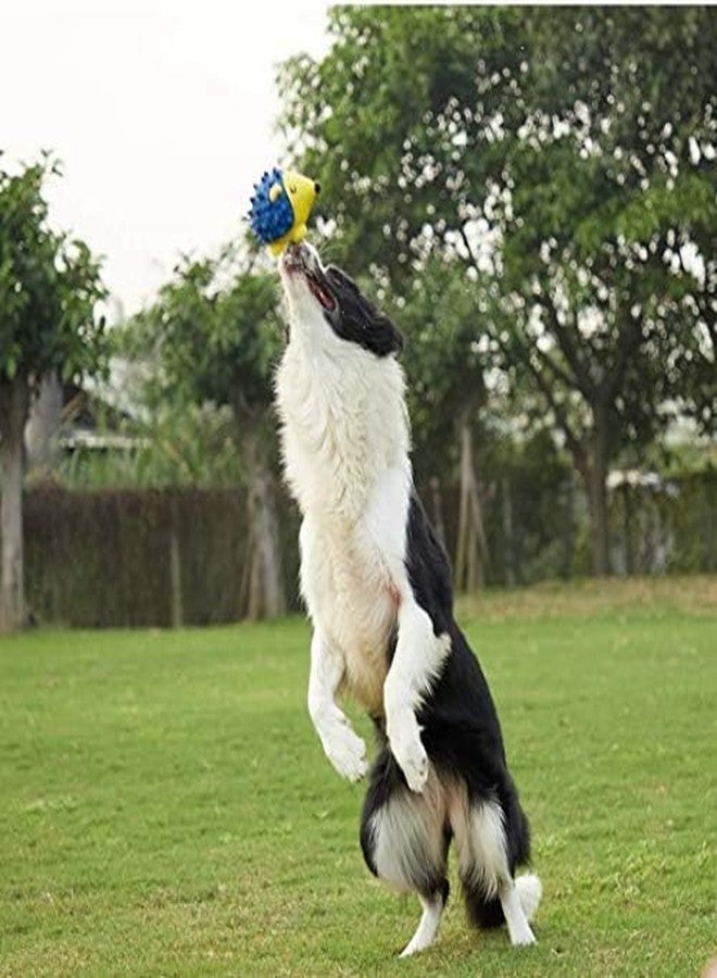 BohoBark Latex Squeaky Hedgehog Toy for Dog Large (Pack of 1, Yellow and Blue Colour) - Image 5