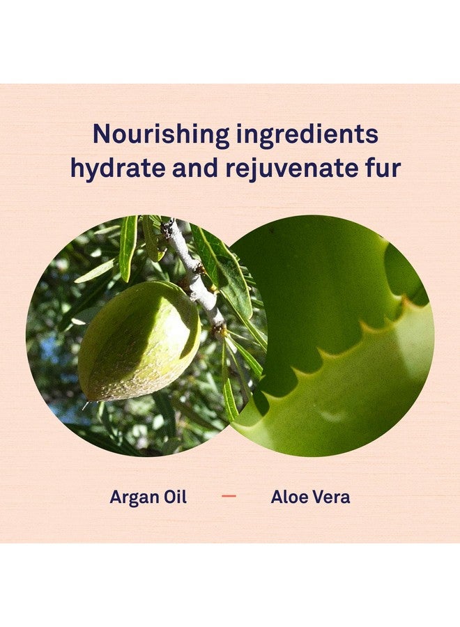 Petpost | Argan Shampoo for Dogs - Naturally Heals, Protects, & Rejuvenates Dog Dry Skin & Coat - Argan Oil and Aloe Formula 8 oz. - Image 5