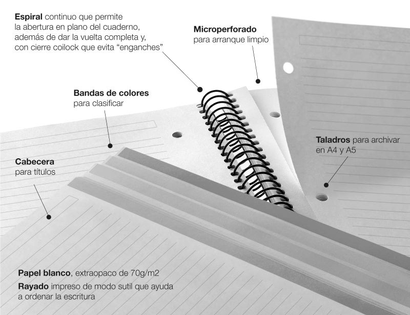 Miquelrius Miquel Rius M Fashion 4 Subject Notebook, Lined A5-8.27" x 5.83" 120 Sheets Heavyweight Paper, Subjects Separated by color, 2 Hole Punched, Micro-Perforated, Cosmos Design, Multicolor - Image 4