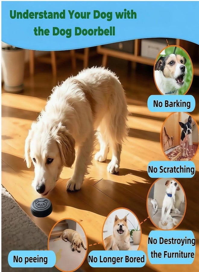 Tosnyr Colorful Doggy Door Bell Wireless, Potty Training Bells for Dogs and Dog Bells to Go Outside, Puppy Clicker with Adjustable Volume,Training Behavior Aid, Door Bell Wireless Essential - Image 2