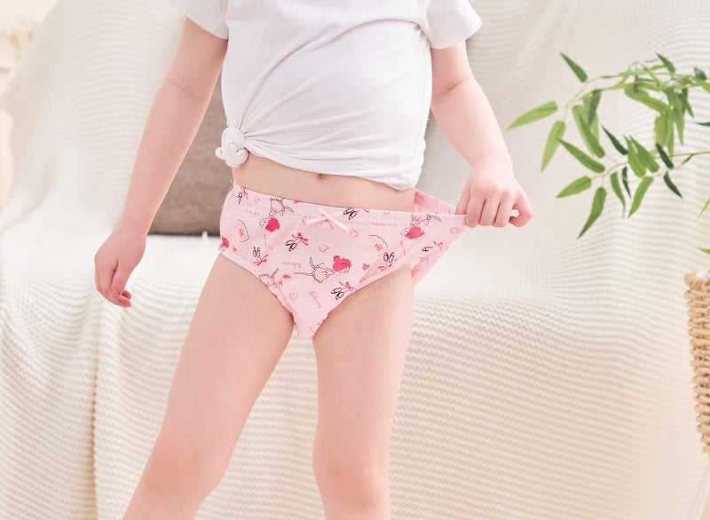 CHUNG Little Girls Toddlers Cotton Briefs Panties Underwear 5 Pack, Ballerina, 3-4Y - Image 3