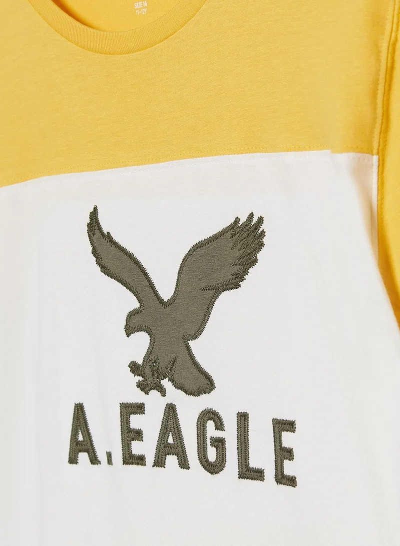 American Eagle Kids Color Block T-Shirt