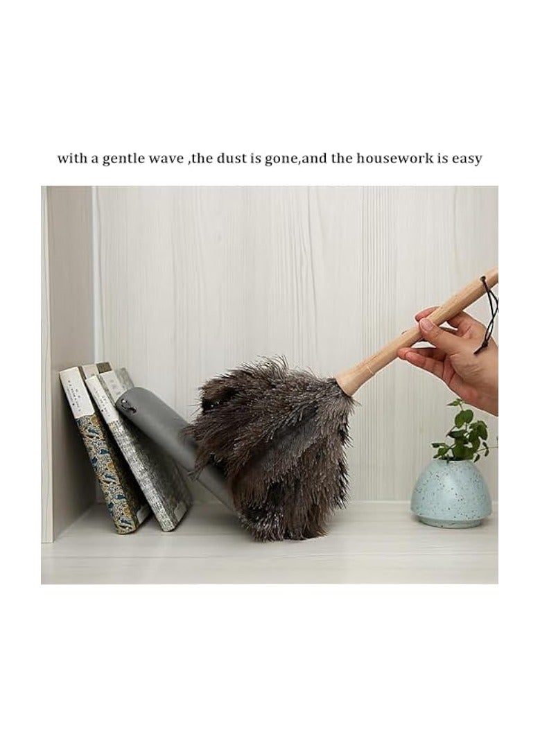 Green Tiger Ostrich Feather Duster 16 inch Ostrich Feather Duster Fluffy Natural Genuine Ostrich Feathers with Wooden Handle and Eco-Friendly Reusable Handheld Ostrich Feather Duster for Cleaning Supplies - Image 3
