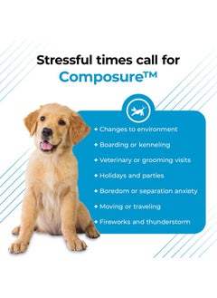 VetriScience Laboratories Composure Max Liquid Formula  Clinically Proven Dog Calming And Cat Calming Supplement With Colostrum, LTheanine & Vitamin B1 For Stress, Storms, Separation & More  8 Oz  - Image 3