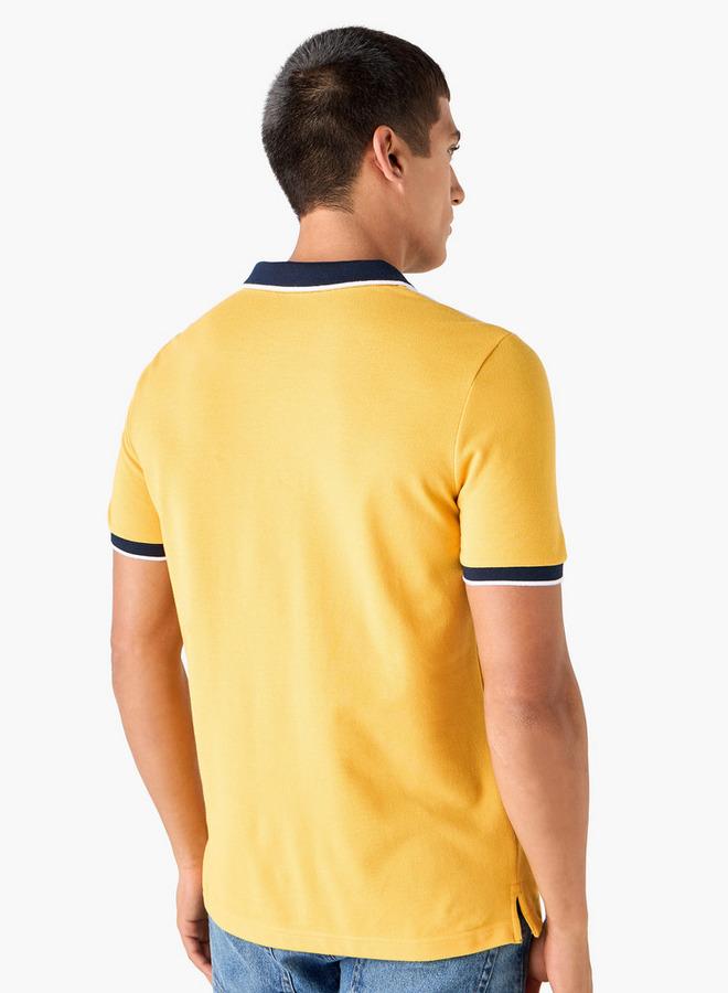 سبلاش فيڤ تيشيرت بولو بألوان متدرجة وتفاصيل مطرزة وأكمام قصيرة - Image 3