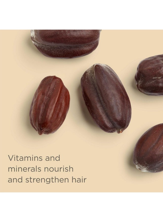 Hairitage Gentle Daily Hydrating and Moisturizing Shampoo For Dry Hair with Jojoba Oil + Aloe Vera - Ultra-Mild + Moisture-Rich - Improves Dry, Brittle Strands, 13 fl. oz. - Image 3