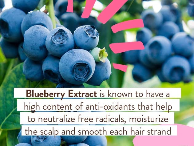 Babo Botanicals Smoothing Berry Conditioning Spray - Detangling & Nourishing - Eliminates Frizz & Prevents Static - Evening Primrose Oil - Non-Aerosol - For all ages - Light Berry Fragrance - Image 4