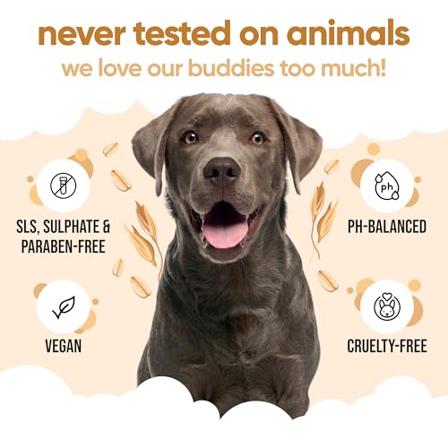 Buddycare Oatmeal Dog Shampoo for Smelly Dogs (16.90oz) - Hypoallergenic & Itch Relief Formula, Gentle on Sensitive Skin, Includes Dog Shampoo and Conditioner - Essential Dog Grooming Supplies - Image 4