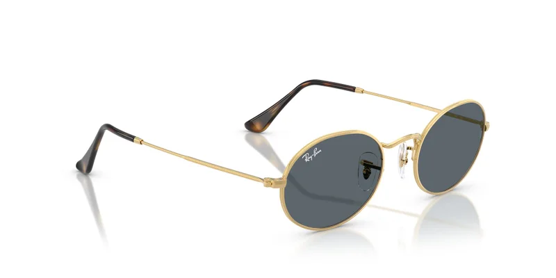 Ray-Ban 0Rb3547N Oval Sunglasses