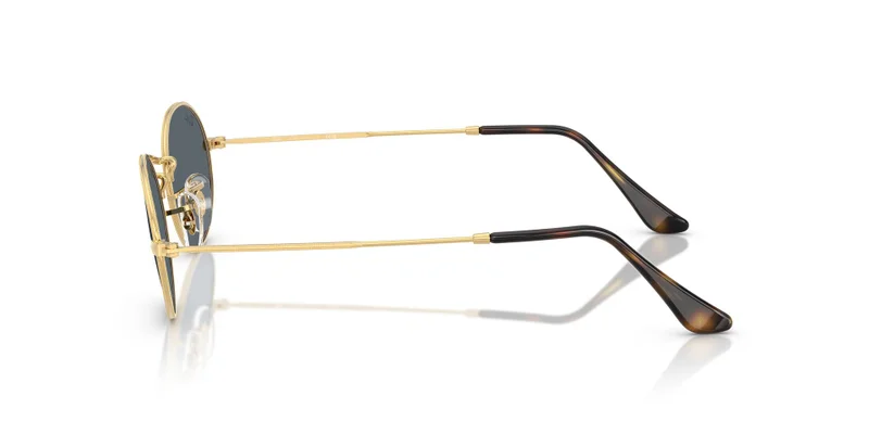 Ray-Ban 0Rb3547N Oval Sunglasses
