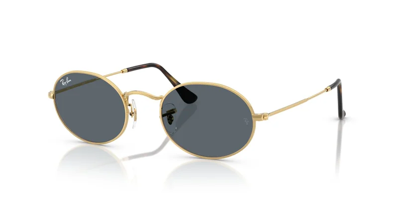 Ray-Ban 0Rb3547N Oval Sunglasses