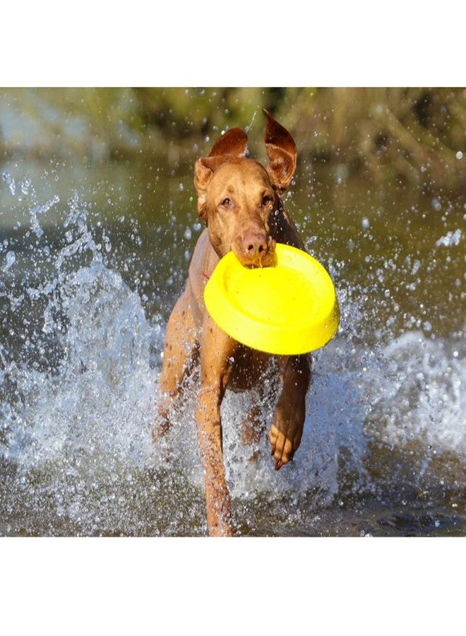 Starmark 11" Easy Glider Durafoam Disc (Colors May Vary) - Image 4