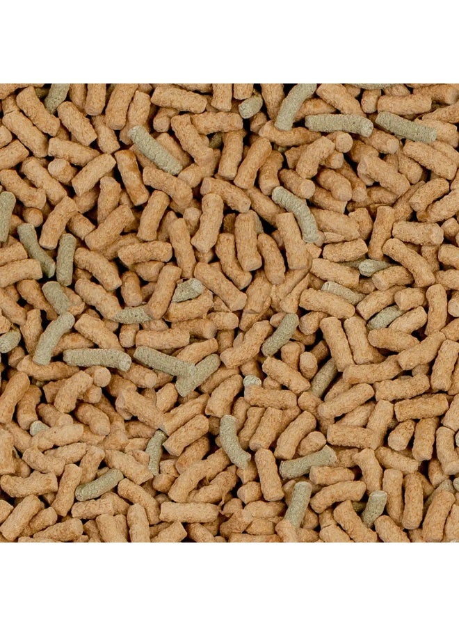 Sera Raffy - P Nature[Volume - 1L] - Image 2