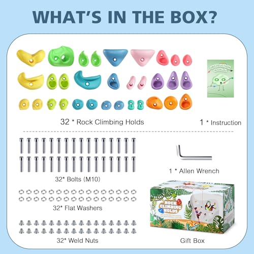 TOPNEW 32 Rock Climbing Holds Multi Size for Kids Adult Rock Wall Holds Climbing Rock Wall Grips for Indoor and Outdoor Playground Play Set - Image 5