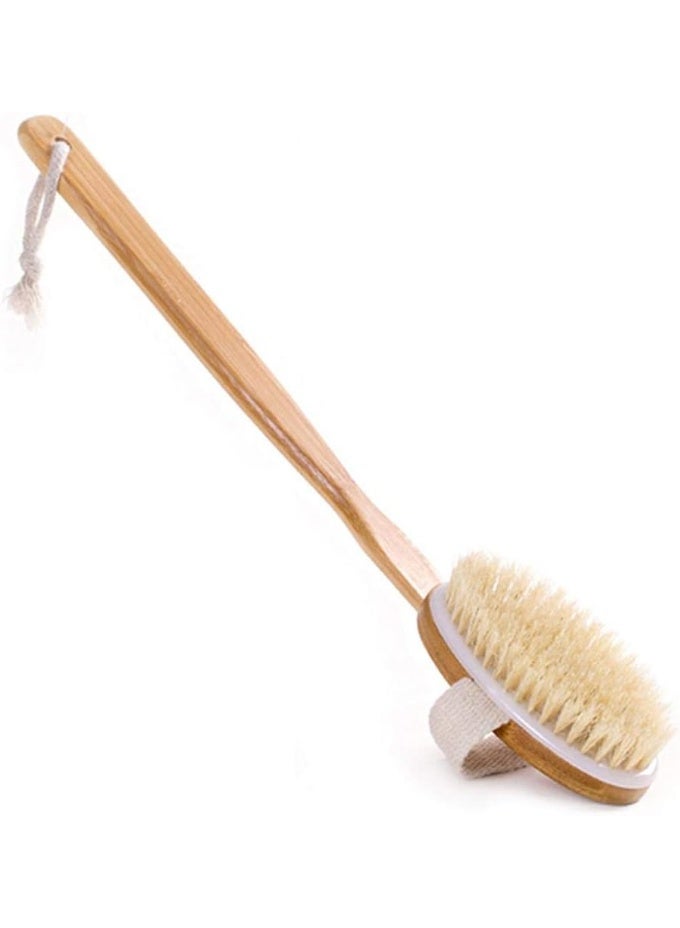فرشاة استحمام خشبية بمقبض طويل لتنظيف وتقشير الجسم – إزالة الجلد الميت وتنشيط الدورة الدموية – مناسبة للاستعمال الجاف والمبلل للعناية بالبشرة - Image 2