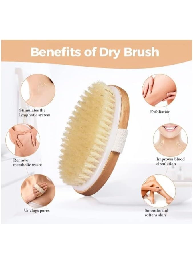 فرشاة استحمام خشبية بمقبض طويل لتنظيف وتقشير الجسم – إزالة الجلد الميت وتنشيط الدورة الدموية – مناسبة للاستعمال الجاف والمبلل للعناية بالبشرة - Image 5