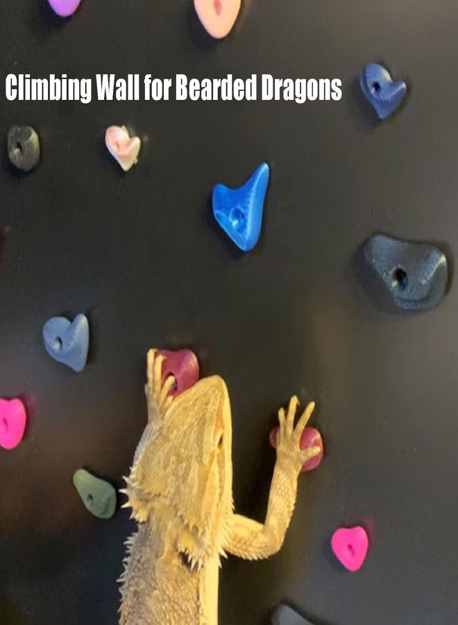 JILINWEI 24Pcs Rock Climbing Holds for Bearded Dragons,Reptiles Toy Rock Wall Holds,6 Multi-Size Climbing Rock Wall Grips for Bearded Dragons Tank Accessories,Black - Image 2