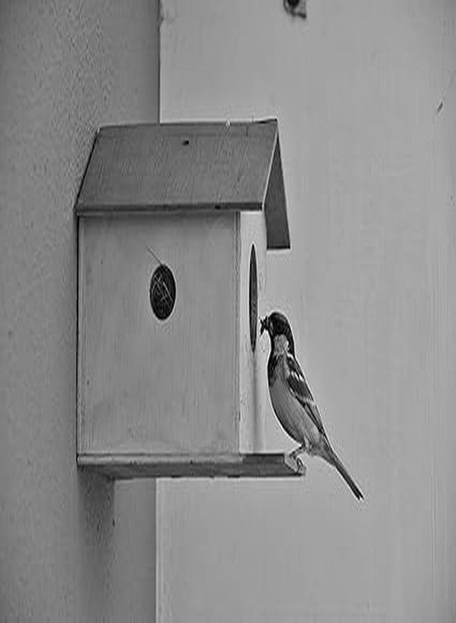 Panchani Bird House for Sparrow, Budgies & Finches with Air Ventilation and Mounting Hook - Image 4