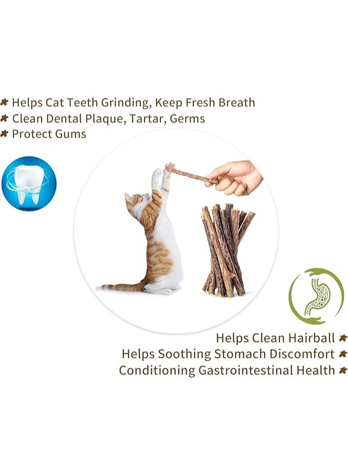 UREVO 10pcs Catnip Dental Chew Sticks for Cats – Natural Wood Catnip Teething Chew Toys, Dental Care & Entertainment for Cats - Image 3