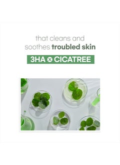 mixsoon [Mixsoon] Cicatree Clean Toner 5.07 fl oz/150ml | Daily Toner for Troubled Skin, Fast Absorption, Zero Irritation | Cruelty-Free  - Image 3