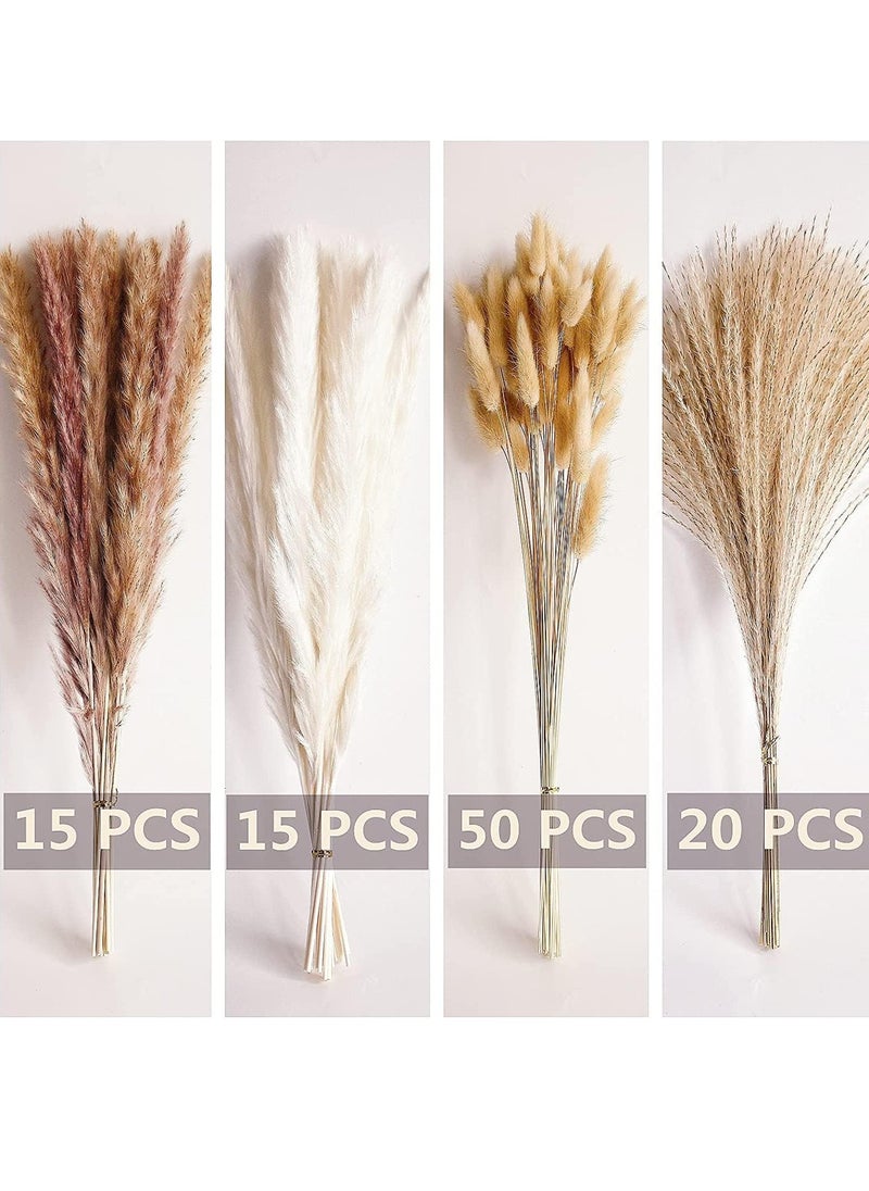 JOMILA 100 PCS Boho Pampas Grass, Naturally Dried Pompas, Pampas Grass Decor for Wedding , Boho Party Decorations, Table Decor  - Image 1