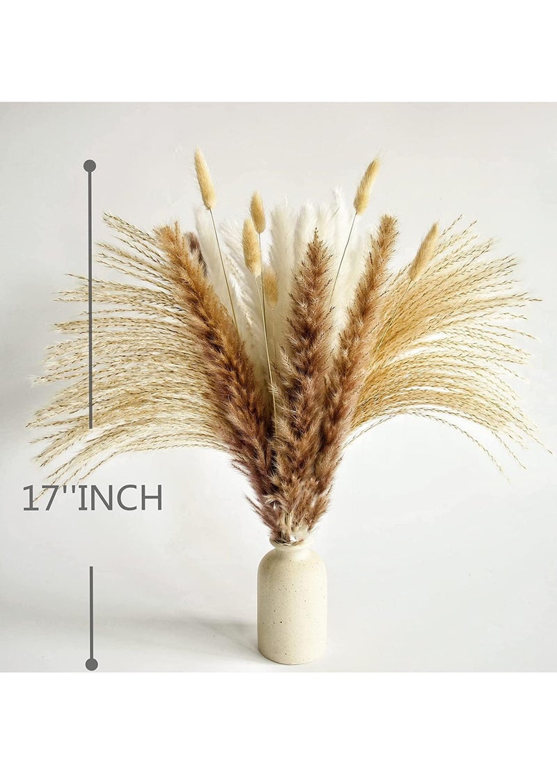 JOMILA 100 PCS Boho Pampas Grass, Naturally Dried Pompas, Pampas Grass Decor for Wedding , Boho Party Decorations, Table Decor  - Image 5