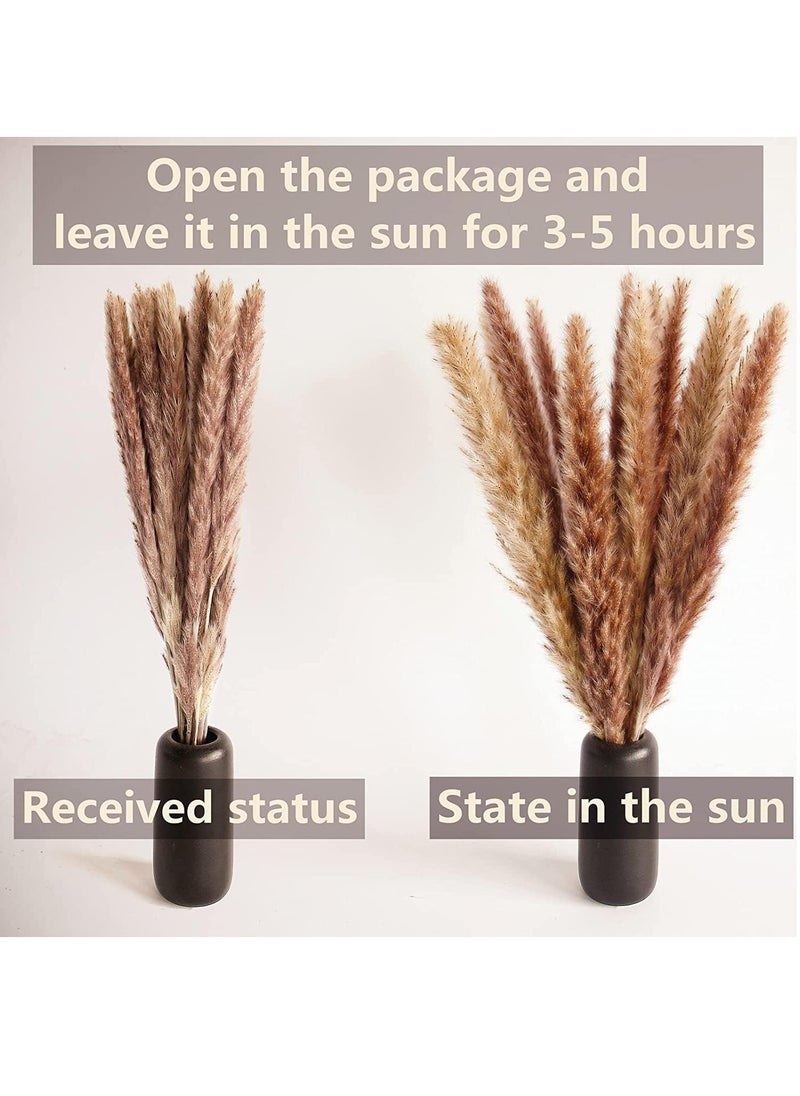 JOMILA 100 PCS Boho Pampas Grass, Naturally Dried Pompas, Pampas Grass Decor for Wedding , Boho Party Decorations, Table Decor  - Image 2