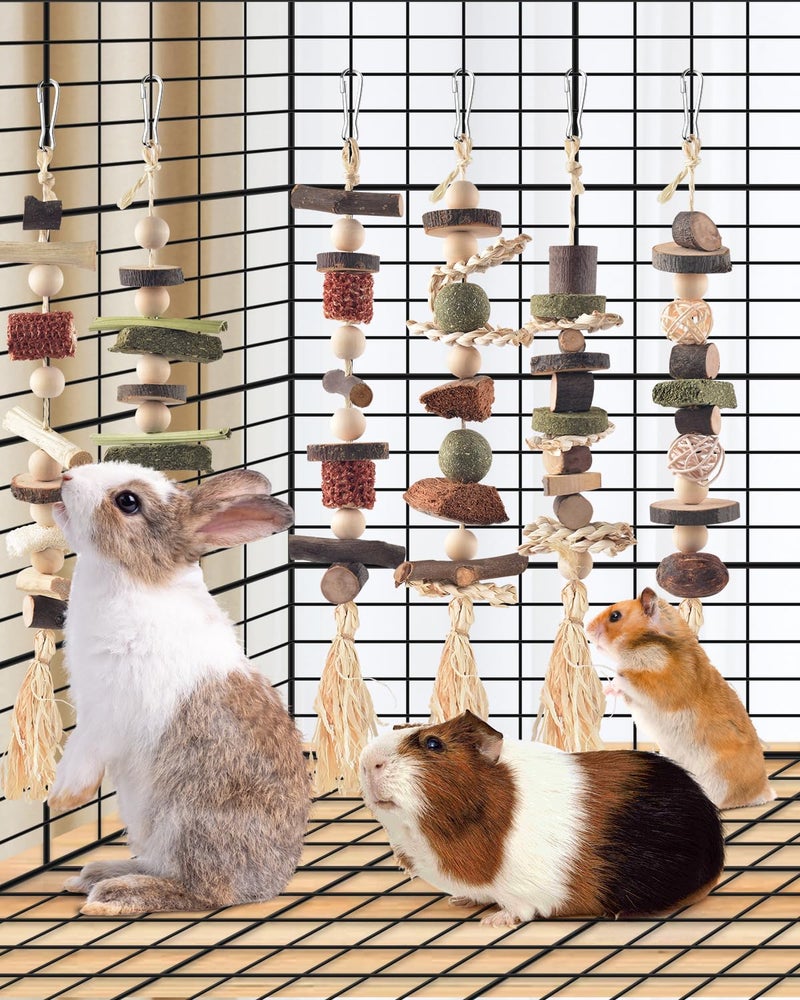 DBNESS 6PCS Bunny Chew Toys, Hamster Rabbit Cage Hanging Chew Toys, Natural Apple Wood Bunnies Treats, Improve Small Animal Teeth Health for Guinea Pig Chinchilla Ferret Rats Gerbil - Image 5
