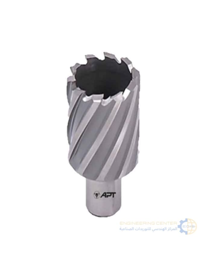 Apt Magnetic bit 50mm x 5.5cm APT HSS-XE