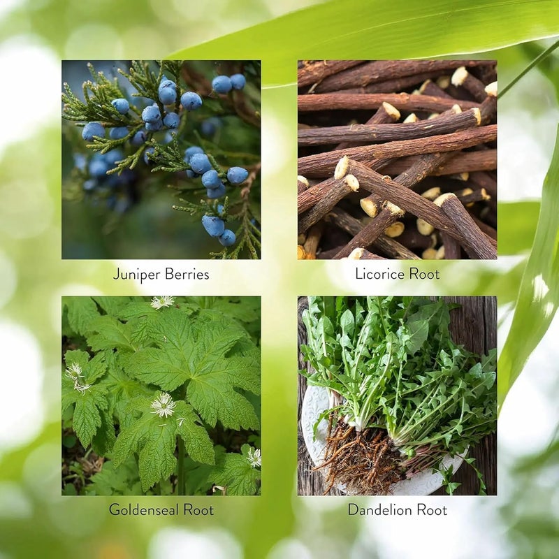 Nature's Sunshine Pro-Pancreas Formula - 100 Capsules for Glandular System Support - Image 3