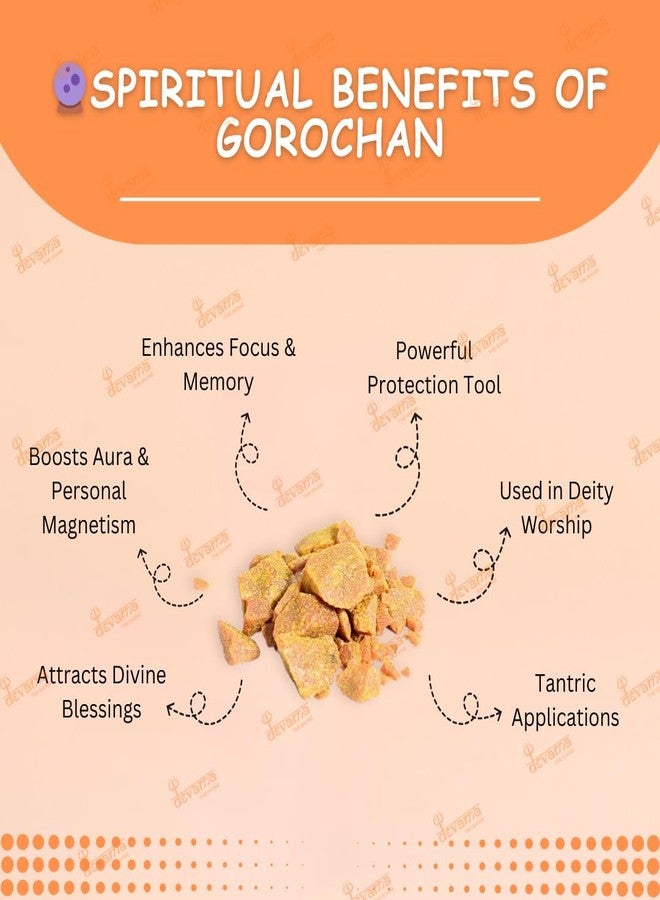 Devama The Divine Original Gaulochan (Gorochan) | Authentic Spiritual Substance for Tantra, Pooja, and Sadhana | Sacred Herbal Powder for Ritual Use (FOR EXTERNAL USE ONLY) - Image 3