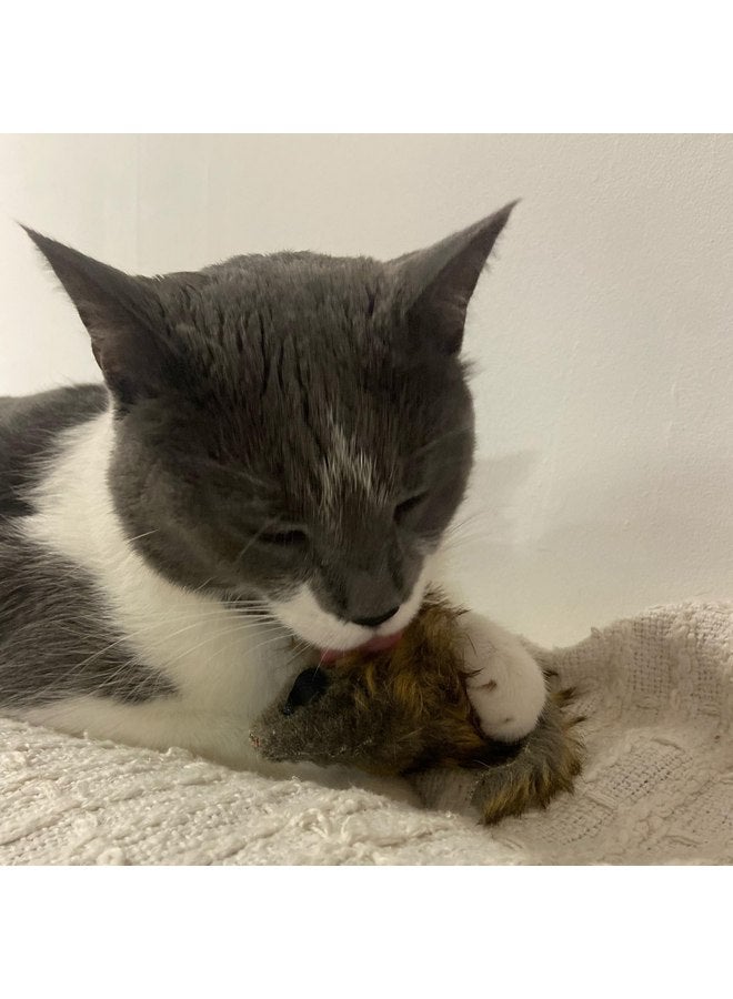 spot Ethical SPOT Shaggy Plush Giant Mouse - Cat Toy, Fuzzy Mice with Catnip and Rattle Toy for Indoor Cats and Kittens, Perfect Size for Pouncing on, Chasing, Hunting - 8.5in, 1 Piece - Image 4