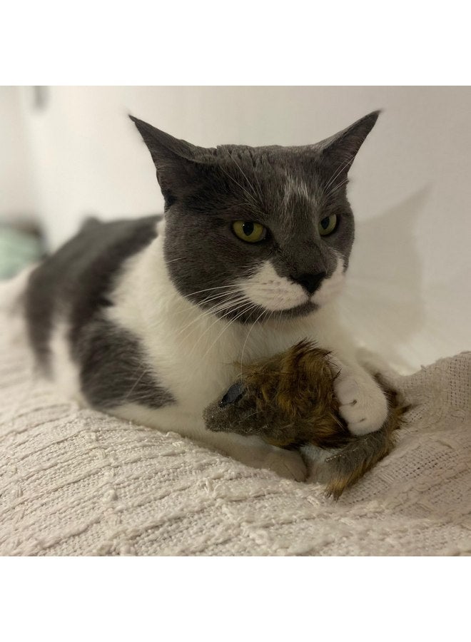 spot Ethical SPOT Shaggy Plush Giant Mouse - Cat Toy, Fuzzy Mice with Catnip and Rattle Toy for Indoor Cats and Kittens, Perfect Size for Pouncing on, Chasing, Hunting - 8.5in, 1 Piece - Image 2