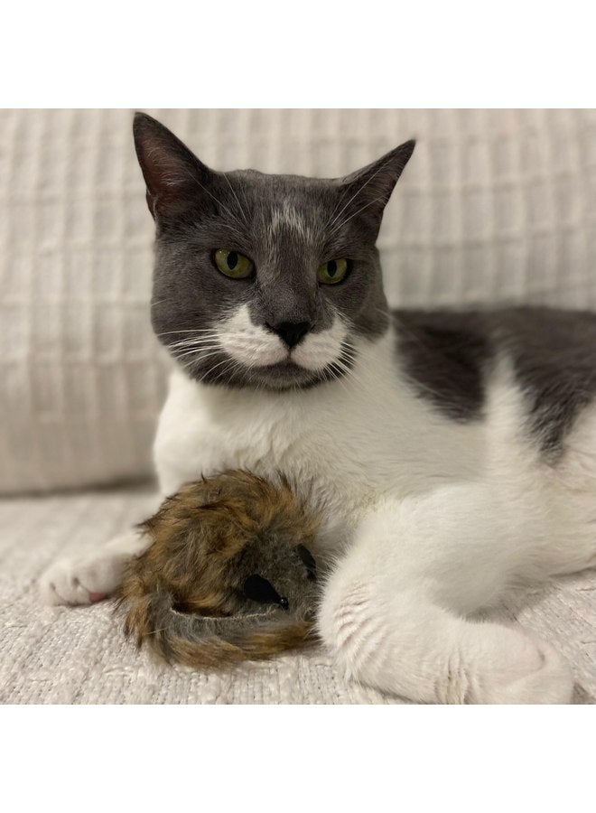 spot Ethical SPOT Shaggy Plush Giant Mouse - Cat Toy, Fuzzy Mice with Catnip and Rattle Toy for Indoor Cats and Kittens, Perfect Size for Pouncing on, Chasing, Hunting - 8.5in, 1 Piece - Image 5