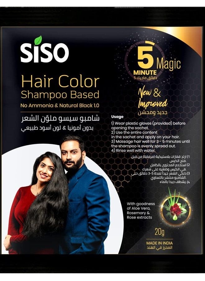 Siso Hair Color Shampoo, 20gm (Pack of 20) 