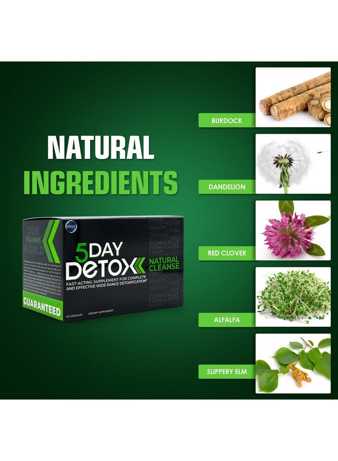 Wellgenix Omni 5 Day Detox Cleanse - Premium Natural Body Detox Supplement, 40 Capsules for Toxin Removal, Total Body Purge, Supports Healthy Liver, Kidneys, Urinary Tract, & Digestive System - Image 2