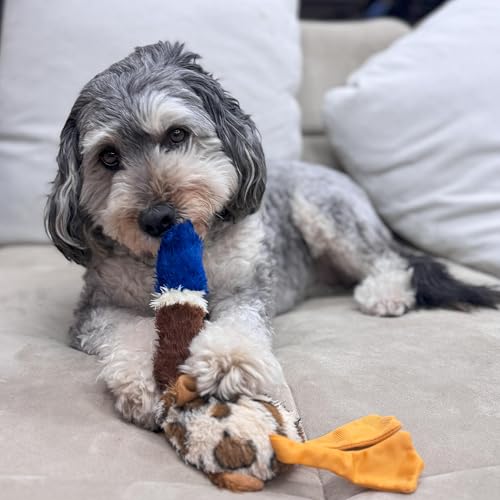 SPOT Skinneeez Plus Duck Stuffing Free Dog Toy with Two Piece Rubber Body and Two Squeakers Fun to Bite Stuffingless Design is Great for Moderate Chewers Tug Toy for Puppies Dogs 15in - Image 3