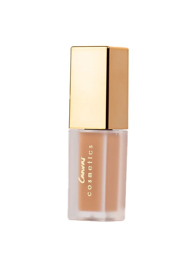 Canvas cosmetics Multitasker Concealer IV 