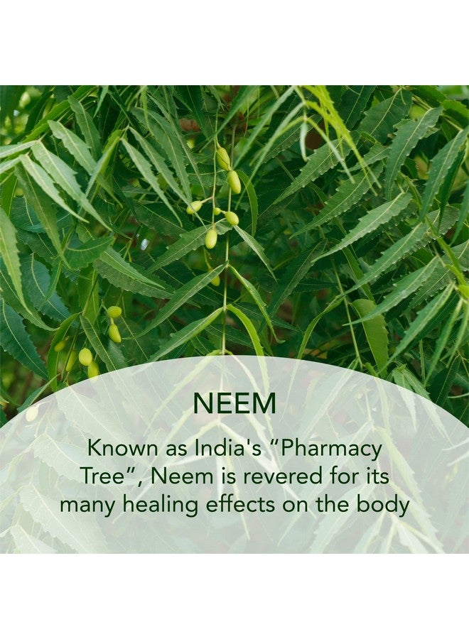 Sundari Sundãri Neem Night Cream - Image 5
