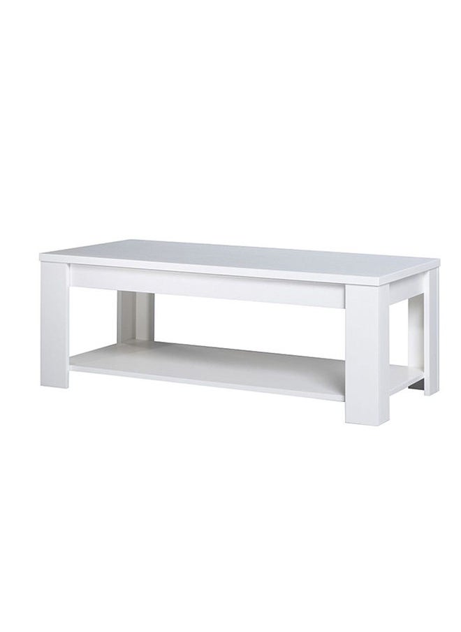 DANUBE HOME Heather Coffee Table 2-Tier Multifunctional Center Table Rectangular Modern Furniture For Living Room White 120x45x60 cm  - Image 2