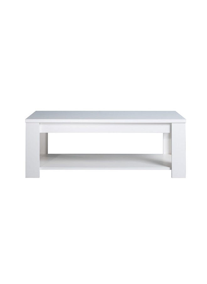 DANUBE HOME Heather Coffee Table 2-Tier Multifunctional Center Table Rectangular Modern Furniture For Living Room White 120x45x60 cm  - Image 4