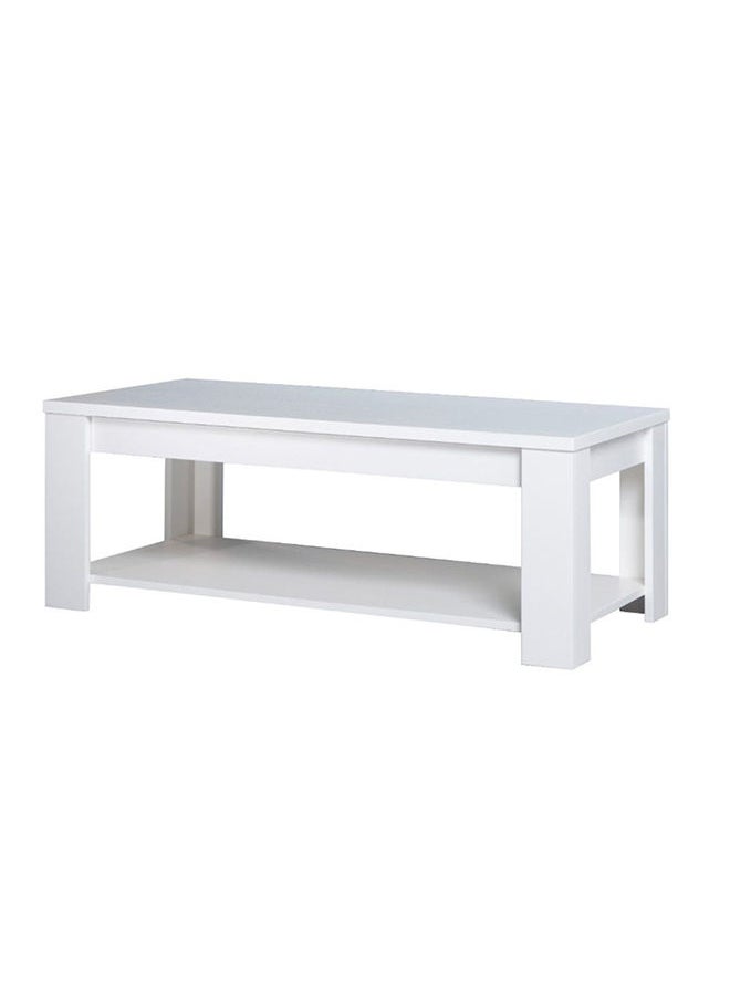 DANUBE HOME Heather Coffee Table 2-Tier Multifunctional Center Table Rectangular Modern Furniture For Living Room White 120x45x60 cm  - Image 3