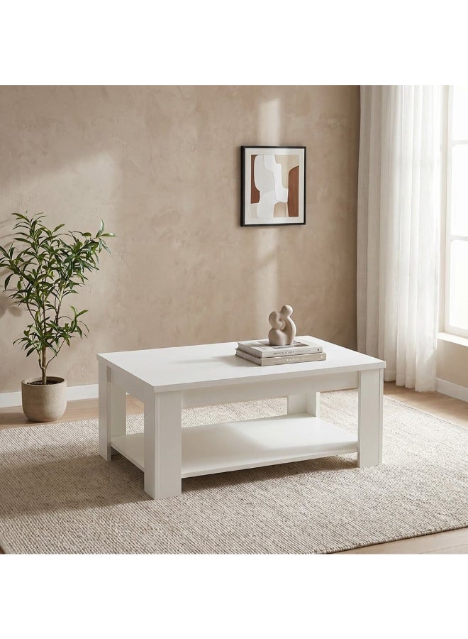 DANUBE HOME Heather Coffee Table 2-Tier Multifunctional Center Table Rectangular Modern Furniture For Living Room White 120x45x60 cm - Image 1