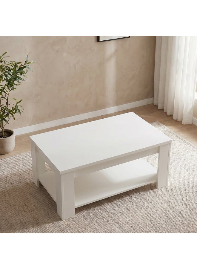 DANUBE HOME Heather Coffee Table 2-Tier Multifunctional Center Table Rectangular Modern Furniture For Living Room White 120x45x60 cm - Image 2