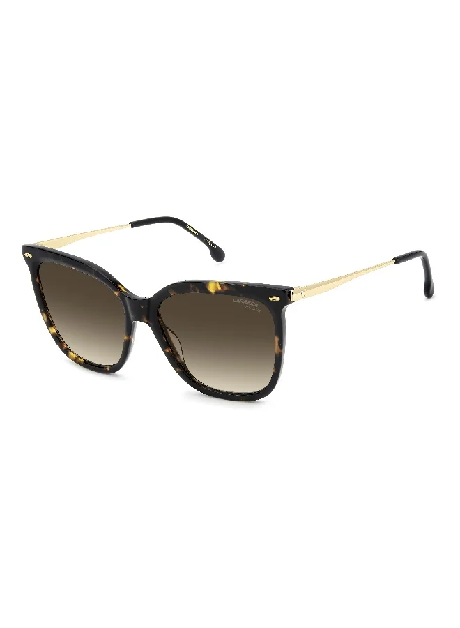 Carrera CARRERA Sunglasses CARRERA 3071/S Gold
