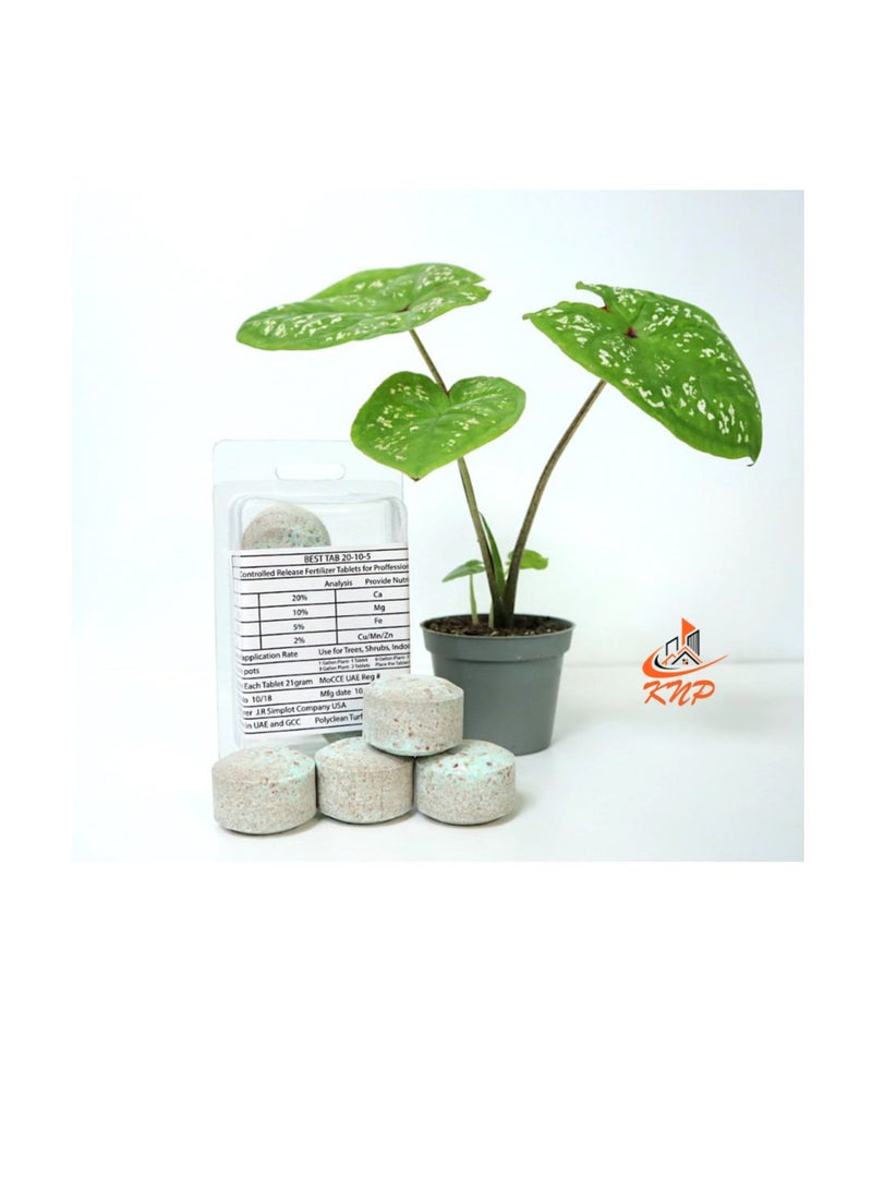 KNP Fertilizer Tablets with Complete Essential Nutrients 2 tabs pack - Image 2
