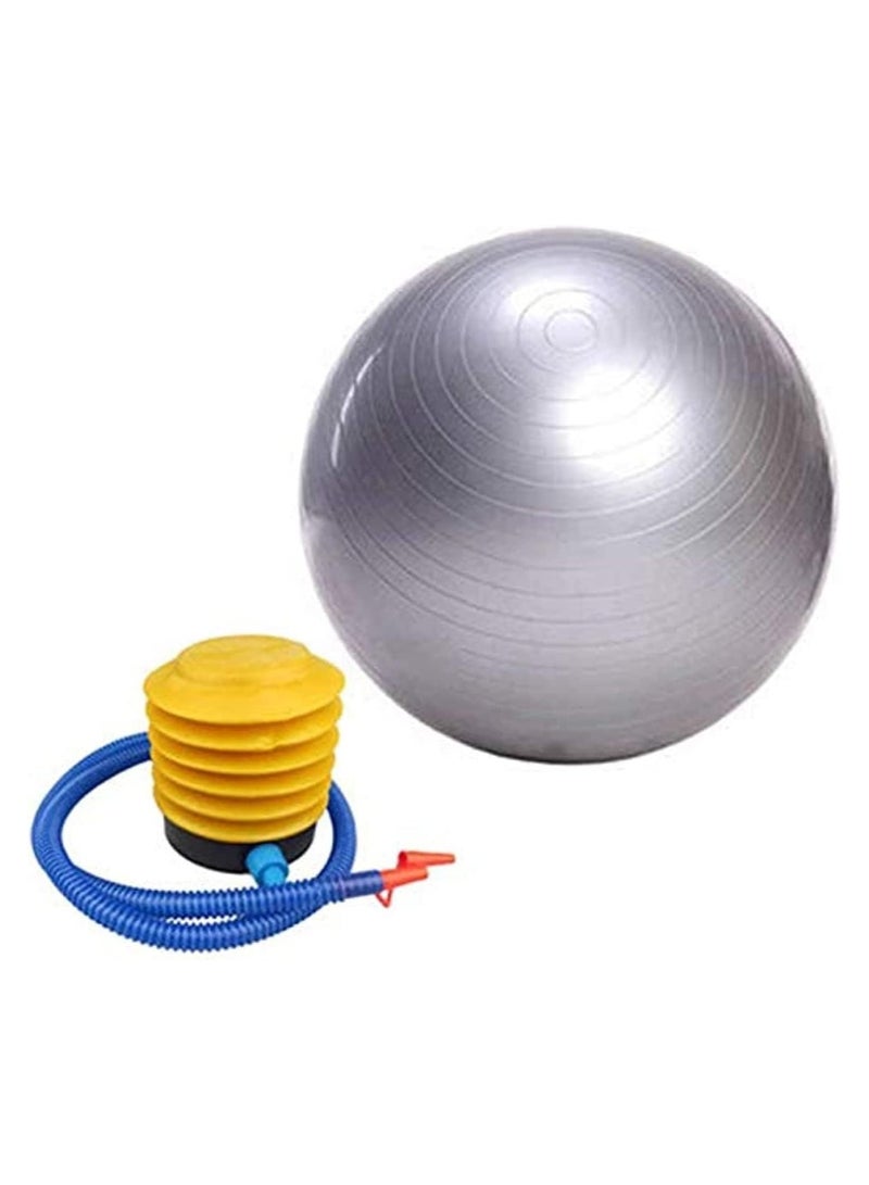 DeloPik Exercise Fitness Aerobic Ball with air pump For Gym Yoga Pilates Pregnancy Birthing multicolor (65-75 cm) - Image 1