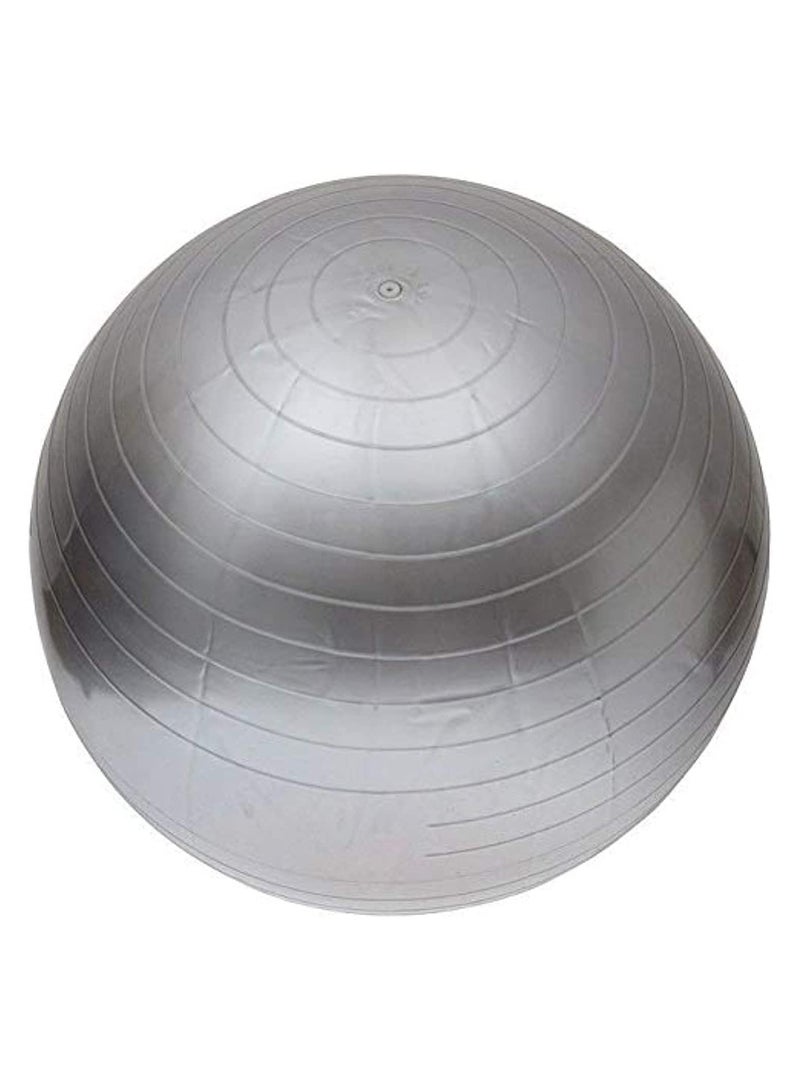 DeloPik Exercise Fitness Aerobic Ball with air pump For Gym Yoga Pilates Pregnancy Birthing multicolor (65-75 cm) - Image 2