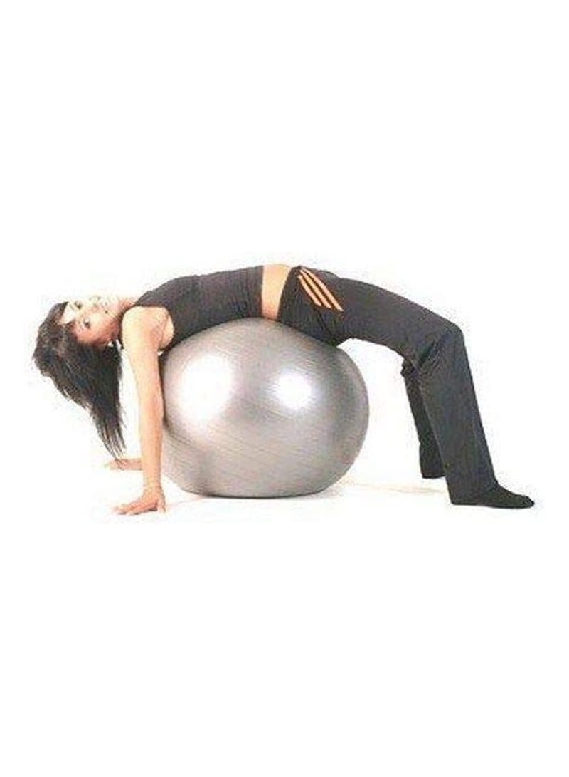 DeloPik Exercise Fitness Aerobic Ball with air pump For Gym Yoga Pilates Pregnancy Birthing multicolor (65-75 cm) - Image 3