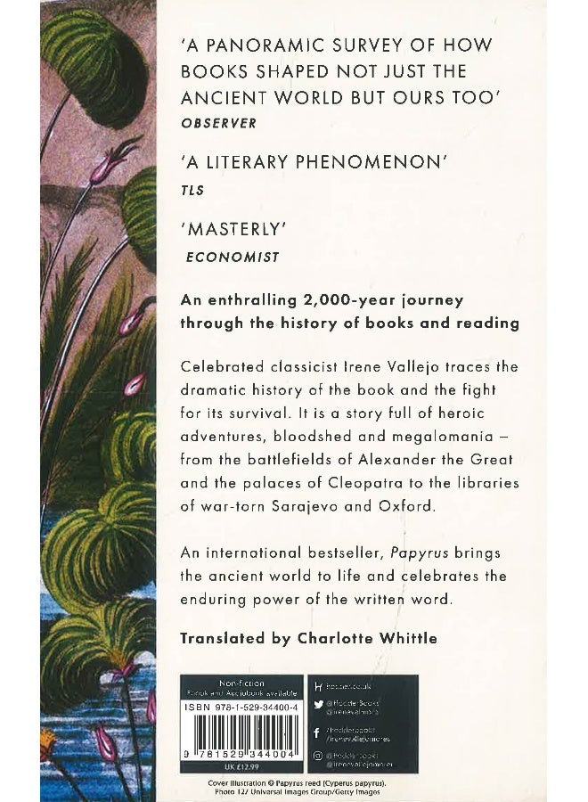 البردي - Image 2